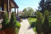 DSC03240